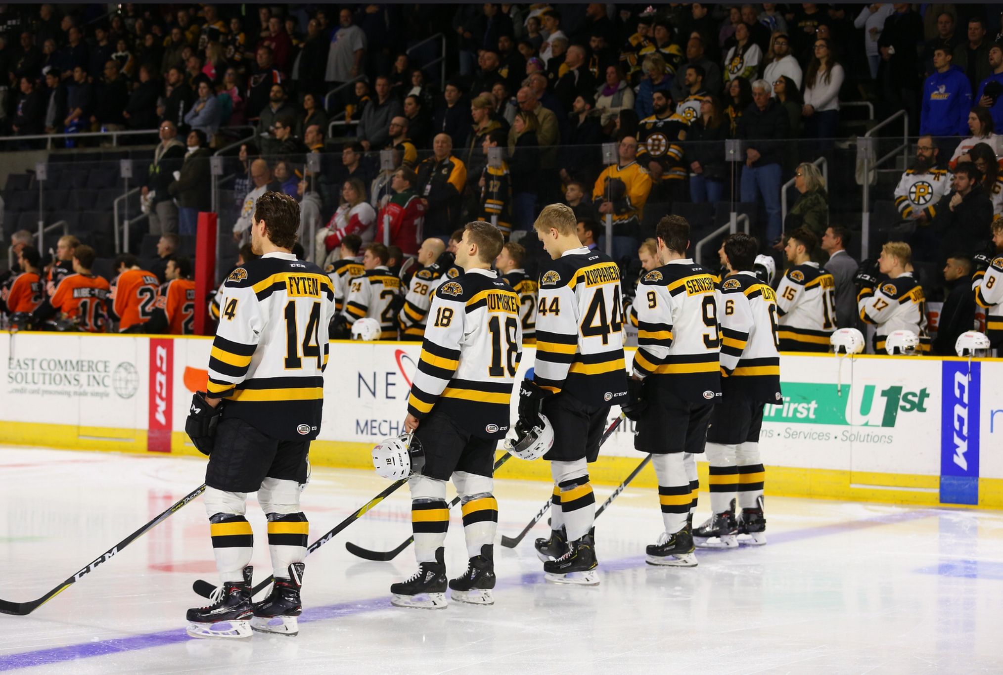 Bruins AHL Affiliate: Providence Bruins Week 13 Recap – Black N' Gold ...