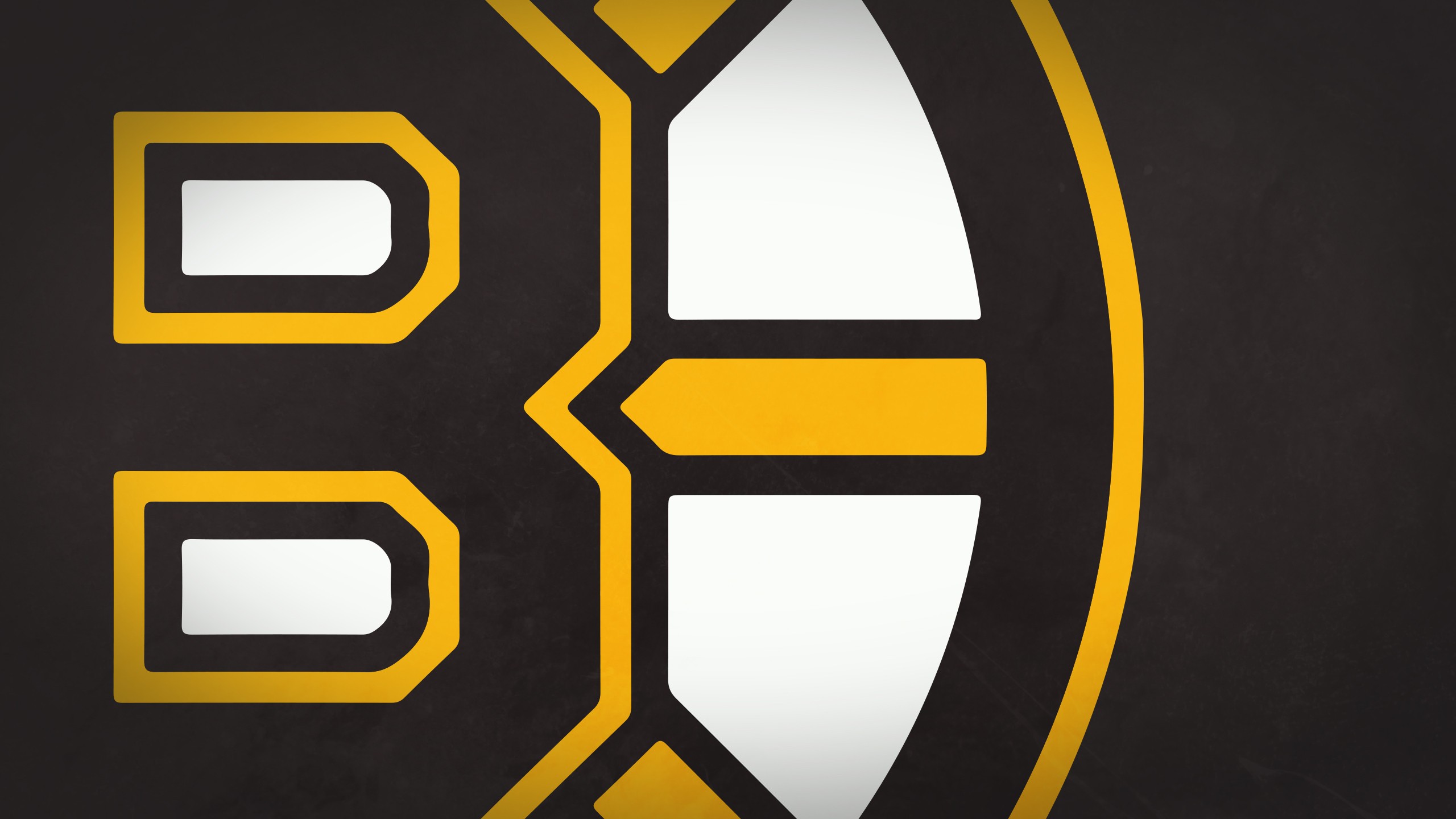 Boston Bruins Logo History