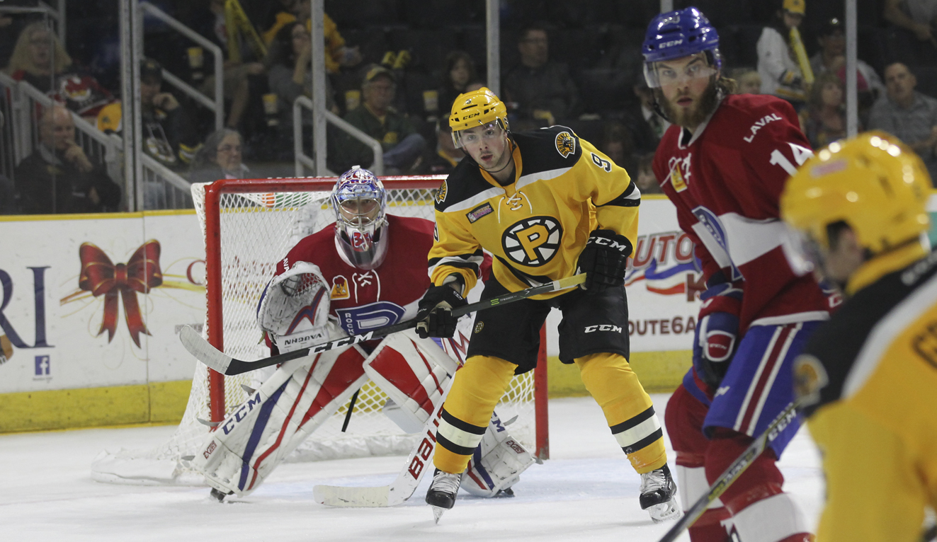 Bruins Depth Players That Deserve Contract Extensions – Black N' Gold ...