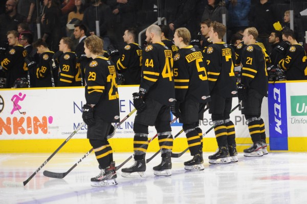 The Providence Bruins will play home games at Marlborough's New England  Sports Center this year