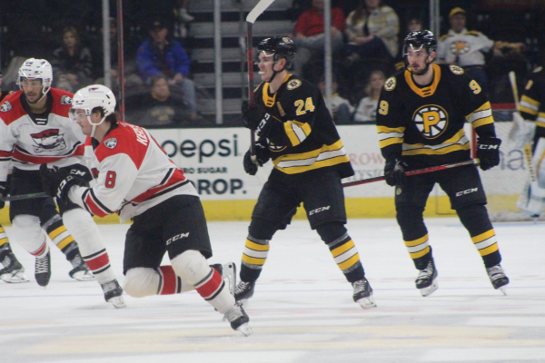 Complete Tour of the Charlotte Checkers Game